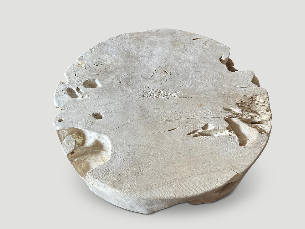 Andrianna Shamaris Table basse en bois de teck en forme de tambour organique Excellent état - En vente à New York, NY