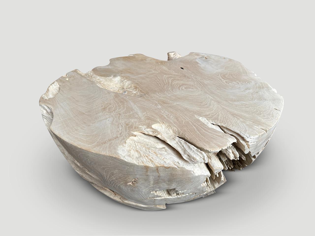 Andrianna Shamaris Table basse en bois de teck en forme de tambour organique Excellent état - En vente à New York, NY