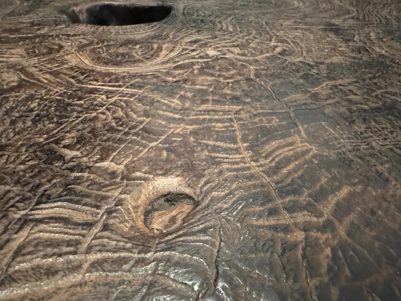 XXIe siècle et contemporain Table basse organique Andrianna Shamaris en bois de teck légèrement chauffé en vente
