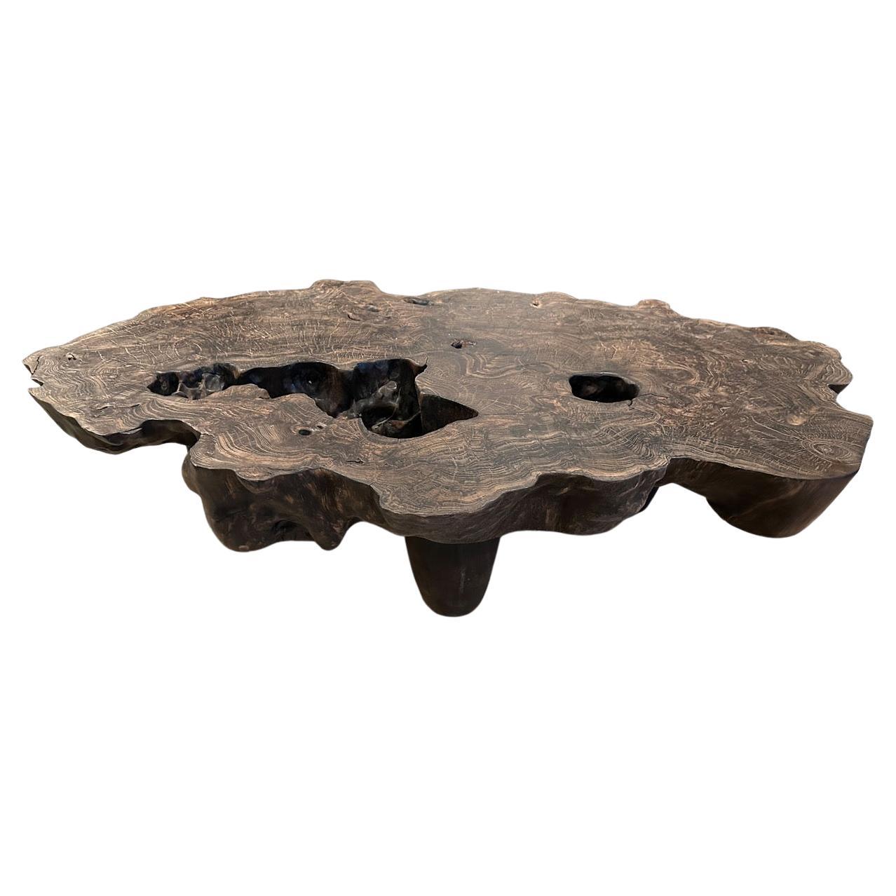 Andrianna Shamaris Organic Lightly Charred Teak Wood Coffee Table For Sale