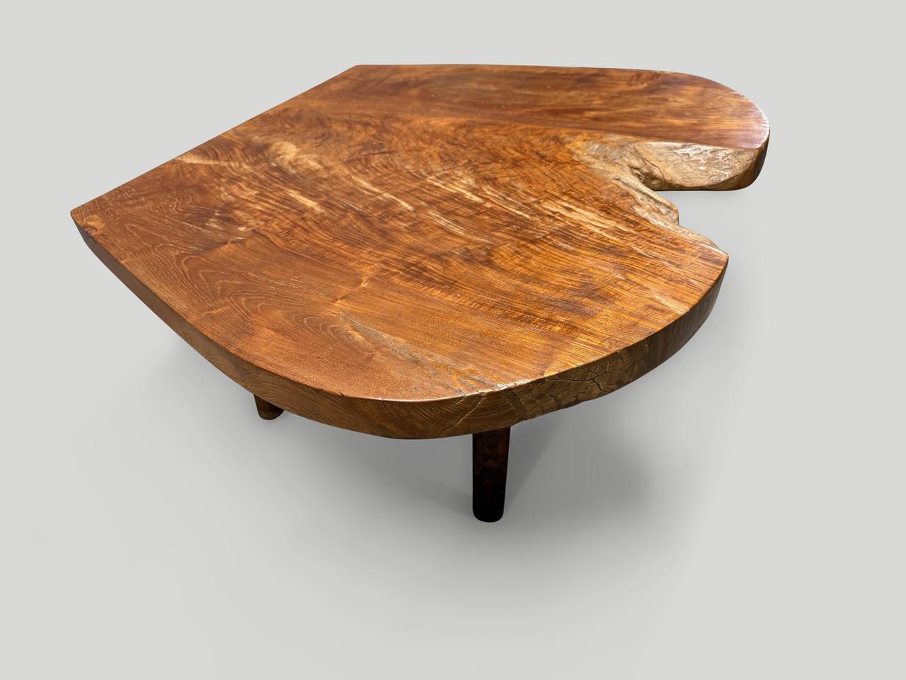Andrianna Shamaris Table basse en bois de teck organique style milieu de siècle Excellent état - En vente à New York, NY