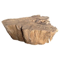 Andrianna Shamaris Organic Natural Teak Wood Coffee Table