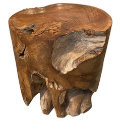 Andrianna Shamaris Organic Natural Teak Wood Tray Side Table