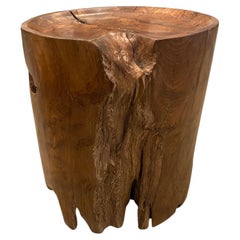 Table d'appoint Andrianna Shamaris avec plateau en bois de teck naturel organique