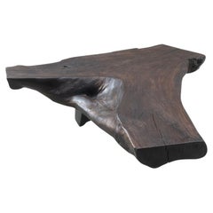 Andrianna Shamaris Organic Single Charred Coffee Table