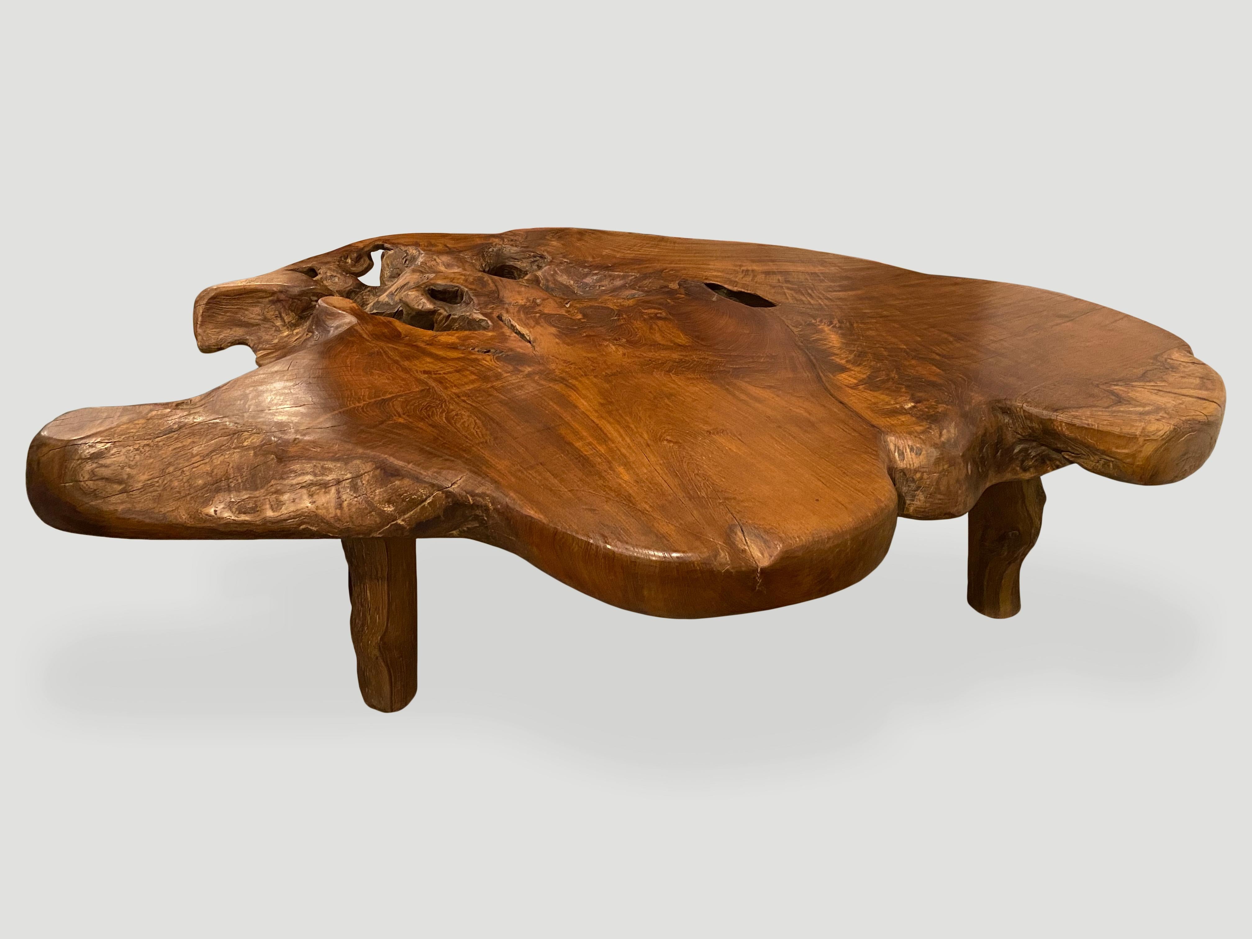Organique Table basse organique en racine de teck Andrianna Shamaris en vente