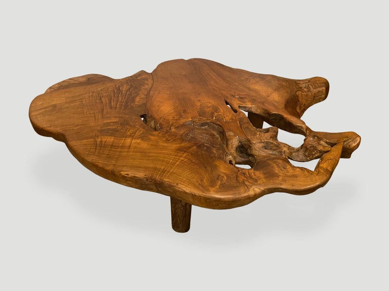 Andrianna Shamaris Organic Teak Root Coffee Table In Excellent Condition For Sale In New York, NY