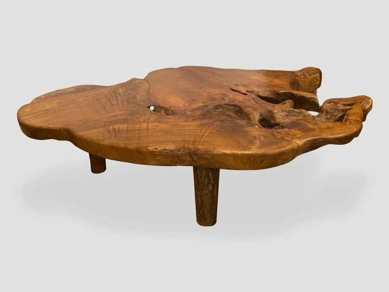 Contemporary Andrianna Shamaris Organic Teak Root Coffee Table For Sale