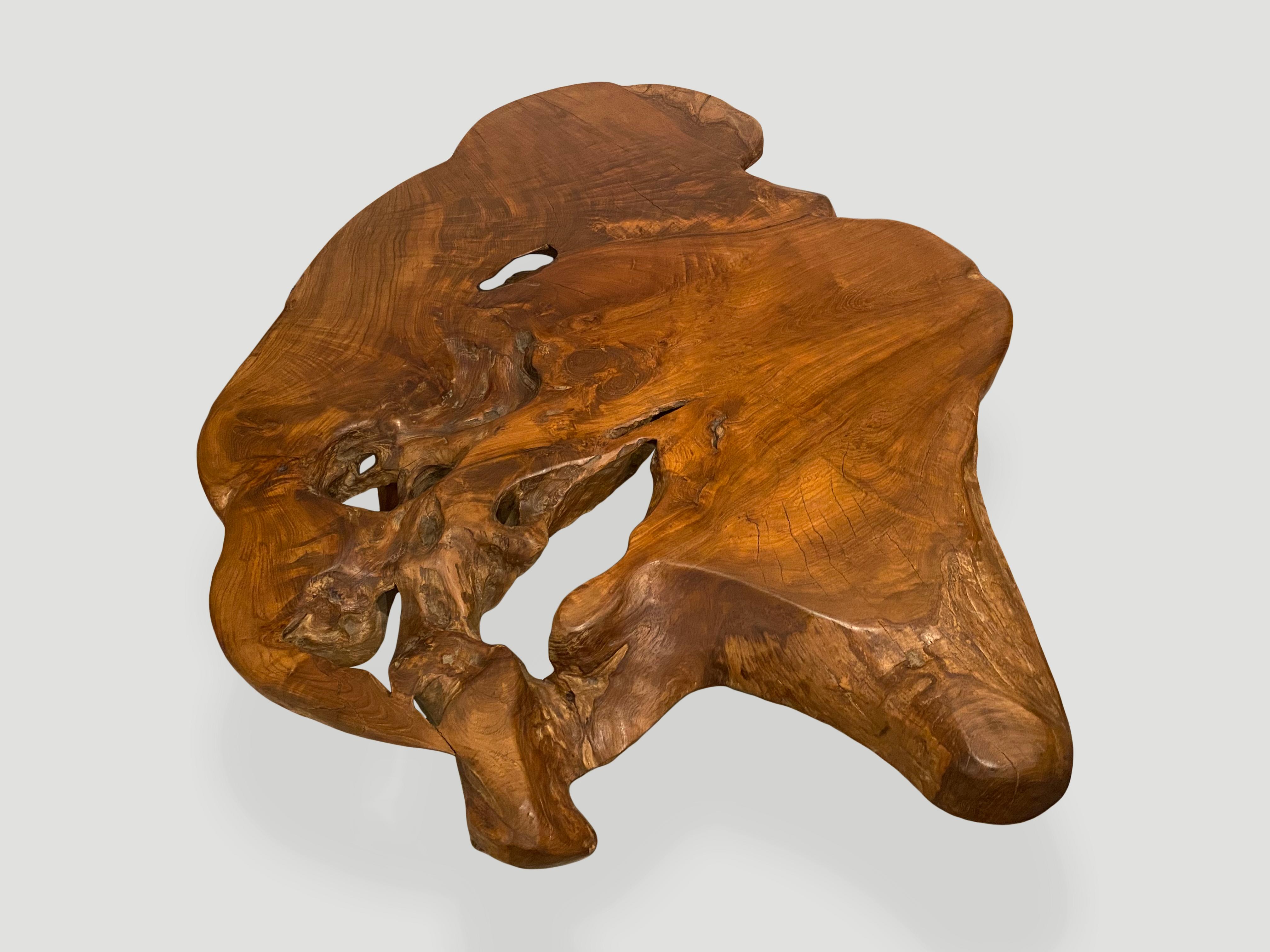 Andrianna Shamaris Organic Teak Root Coffee Table In Excellent Condition For Sale In New York, NY