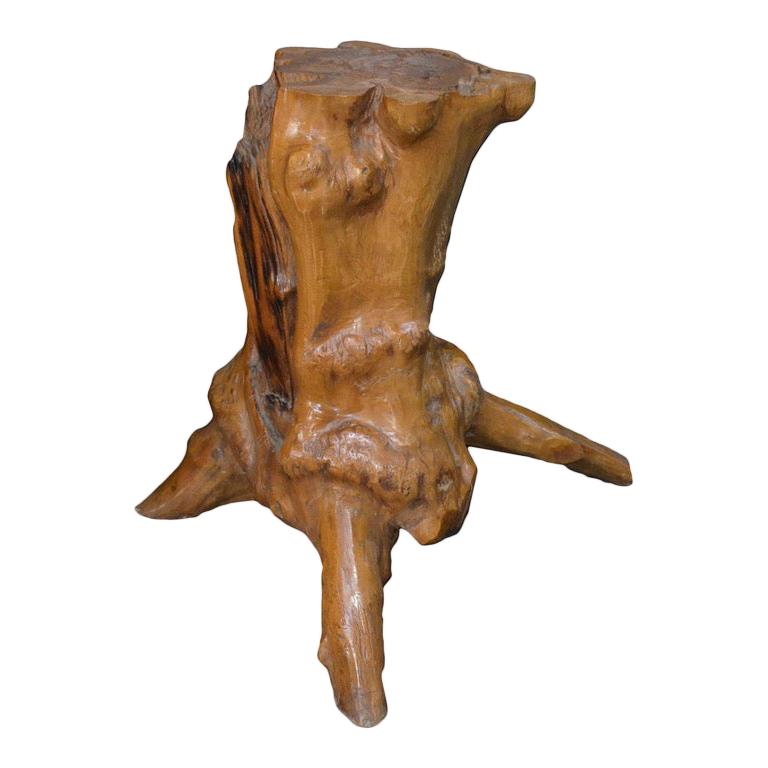 Andrianna Shamaris Organic Teak Root Side Table