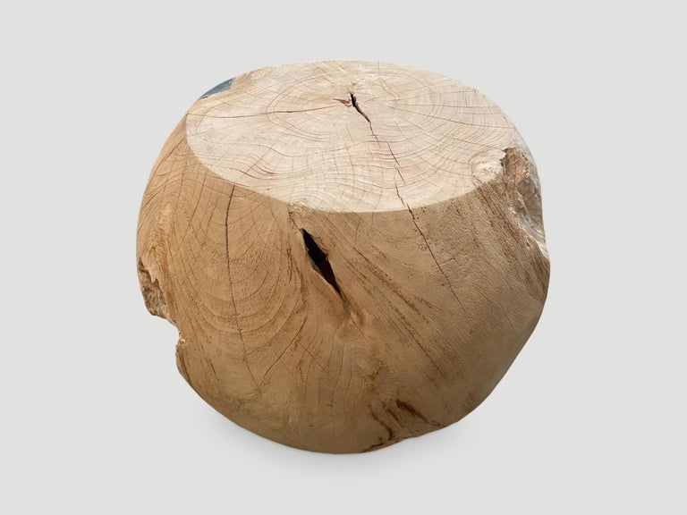 Contemporary Andrianna Shamaris Organic Teak Wood and Resin Drum Side Table For Sale