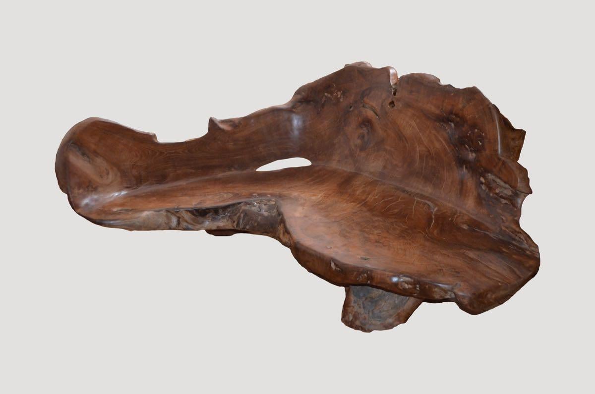 Organic bench hand-carved from a single teak wood root.

Andrianna Shamaris. The Leader In Modern Organic Design™