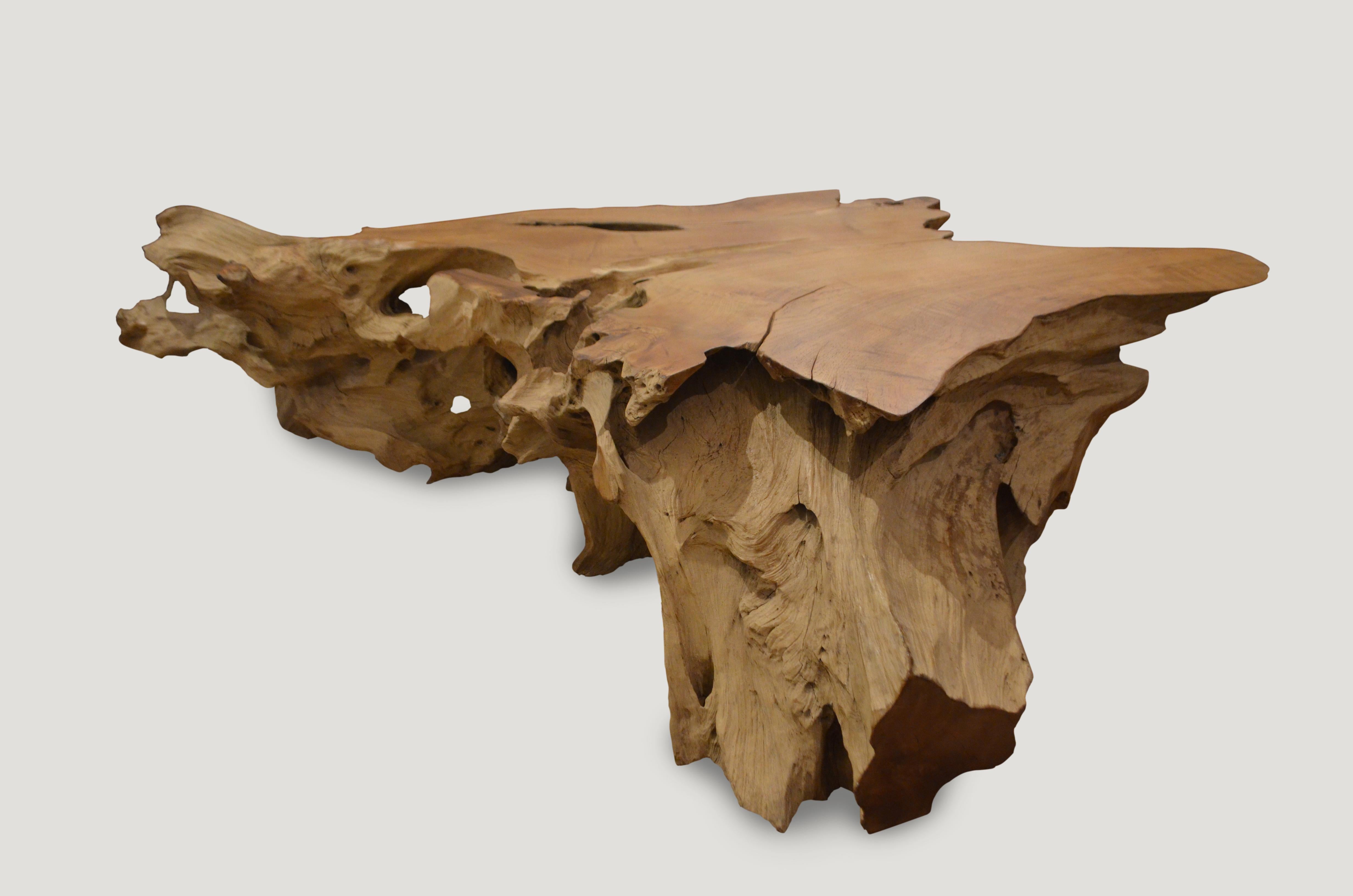 Natural organic formed reclaimed teak wood root coffee table. This piece is a cross section taken from the root of a large tree. A combination of raw teak and a polished teak top.

Andrianna Shamaris. The Leader In Modern Organic Design™