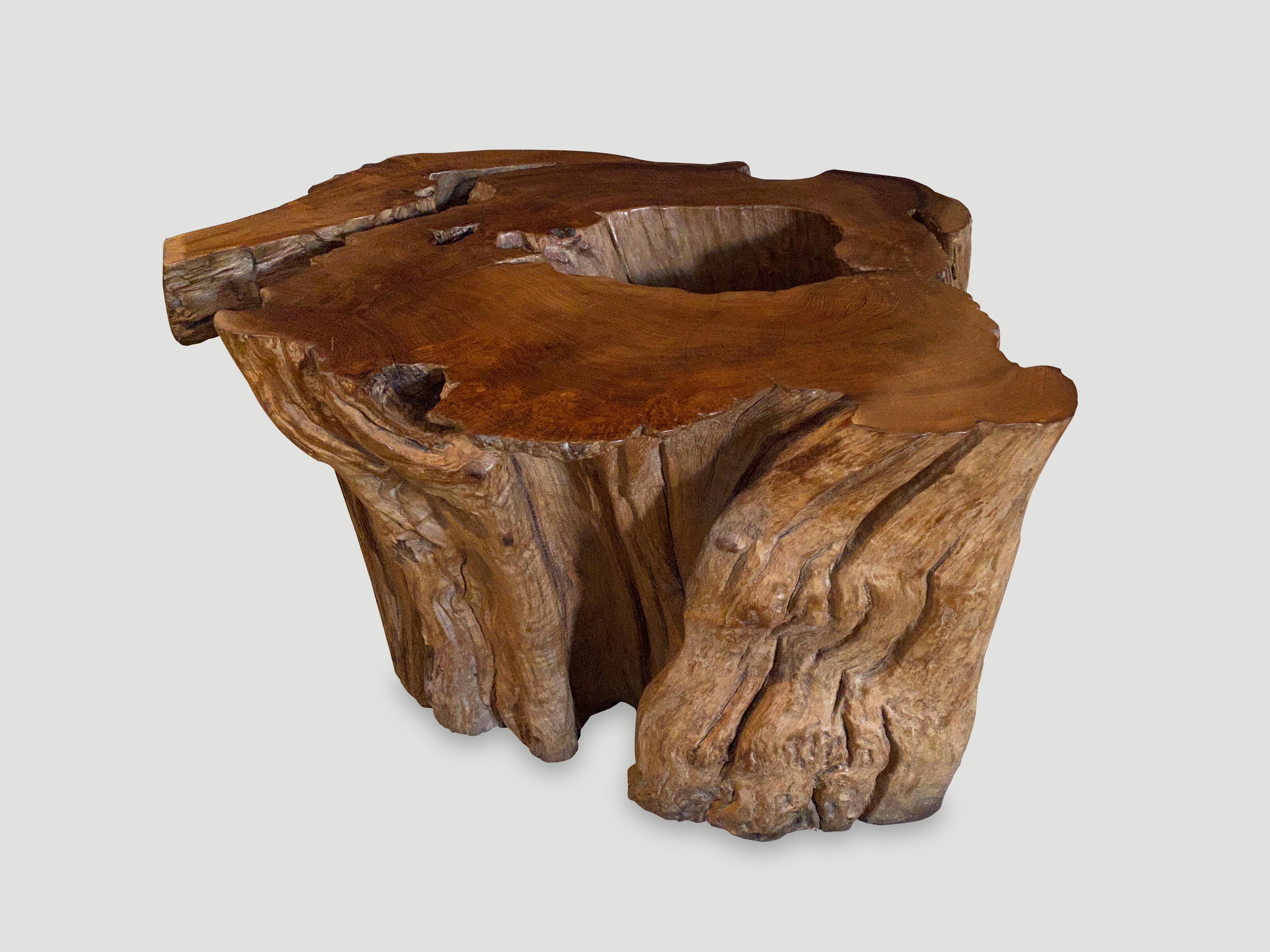 Reclaimed teak wood with a beautiful organic shape. Finished with a natural oil revealing the stunning wood grain on the sides and top. The final image is shown with a palm petrified wood slab. This is not included in the price.

This coffee table