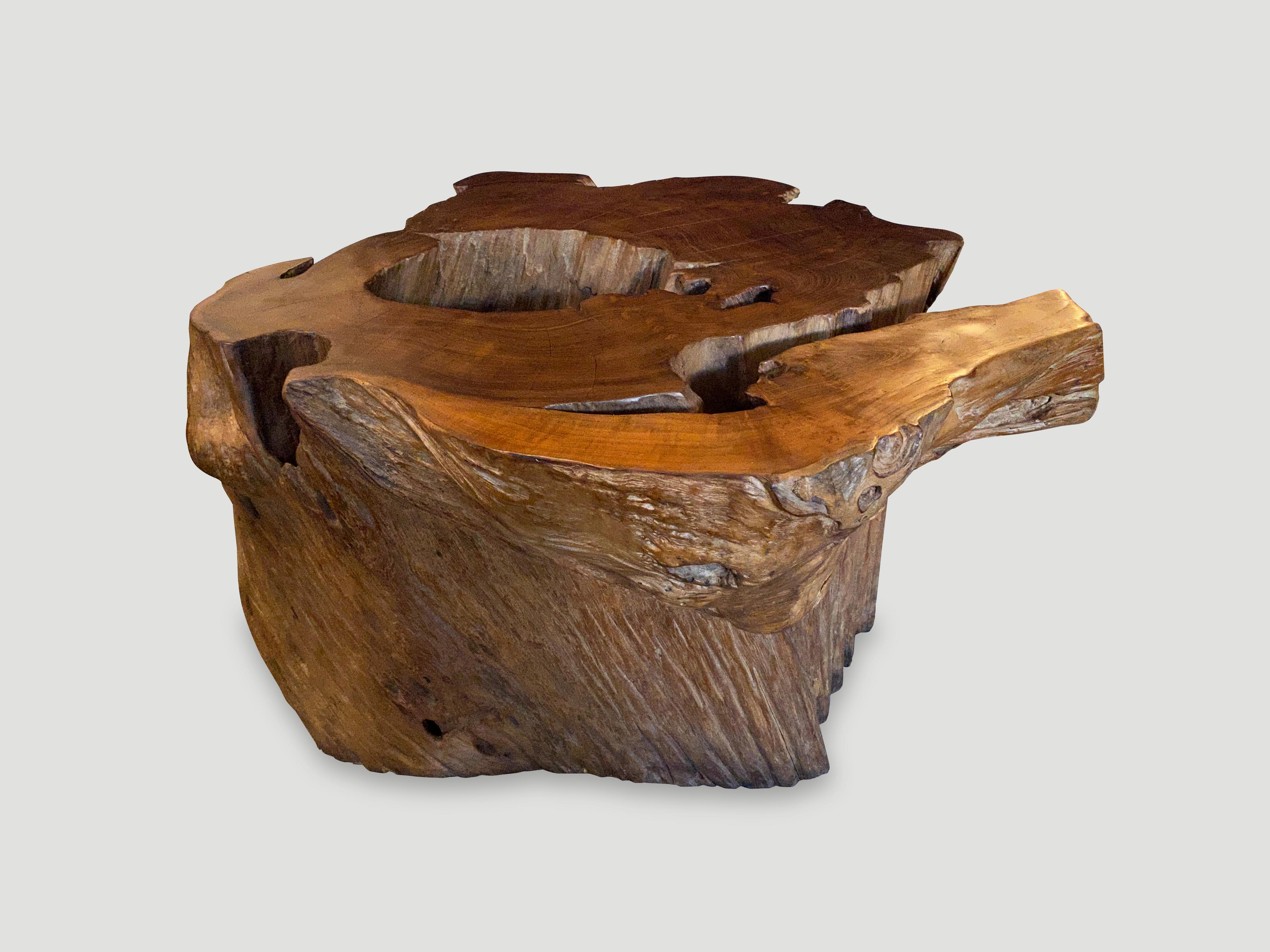 Andrianna Shamaris Organic Teak Wood Coffee Table or Pedestal In Excellent Condition For Sale In New York, NY