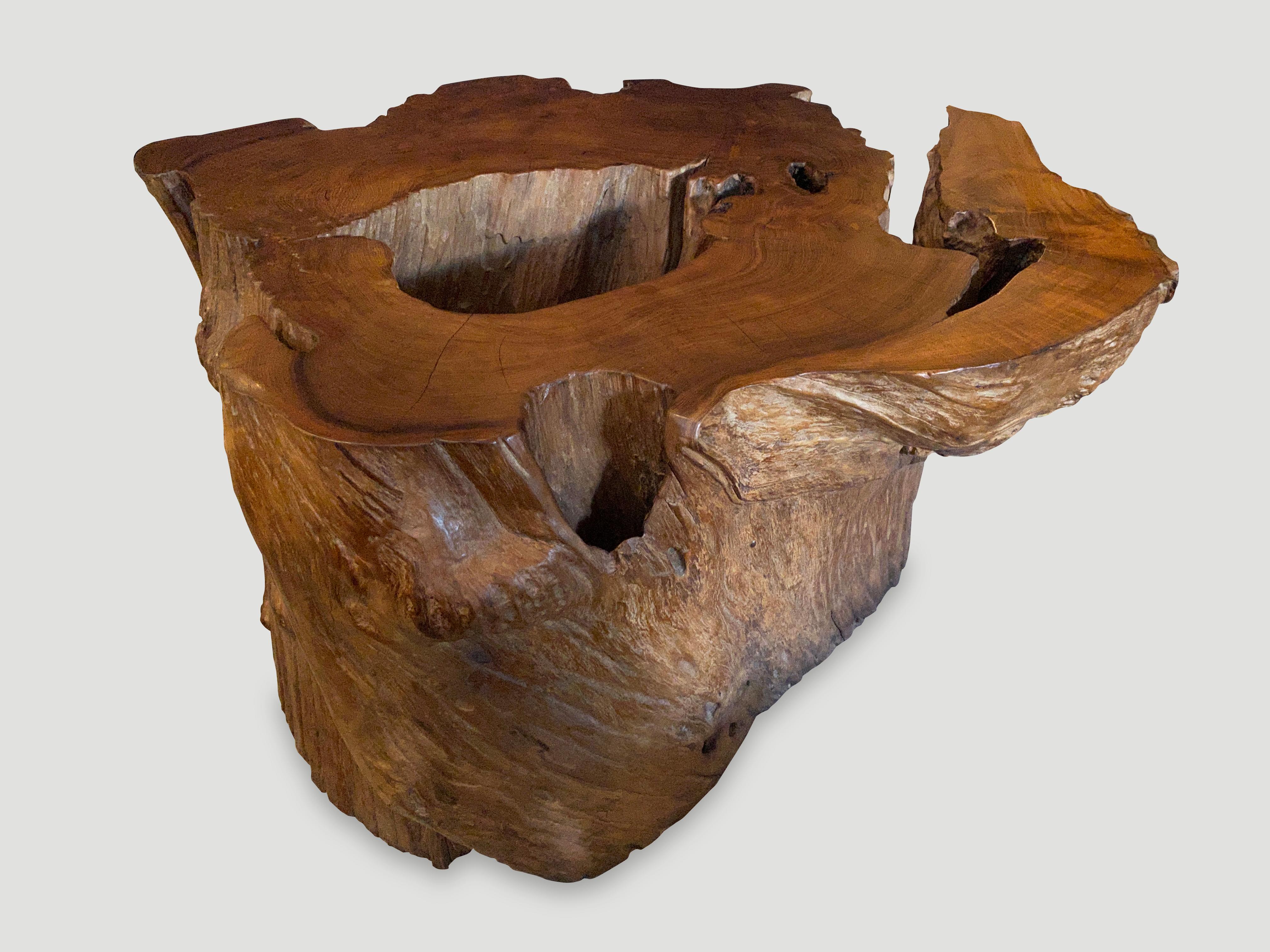 Contemporary Andrianna Shamaris Organic Teak Wood Coffee Table or Pedestal