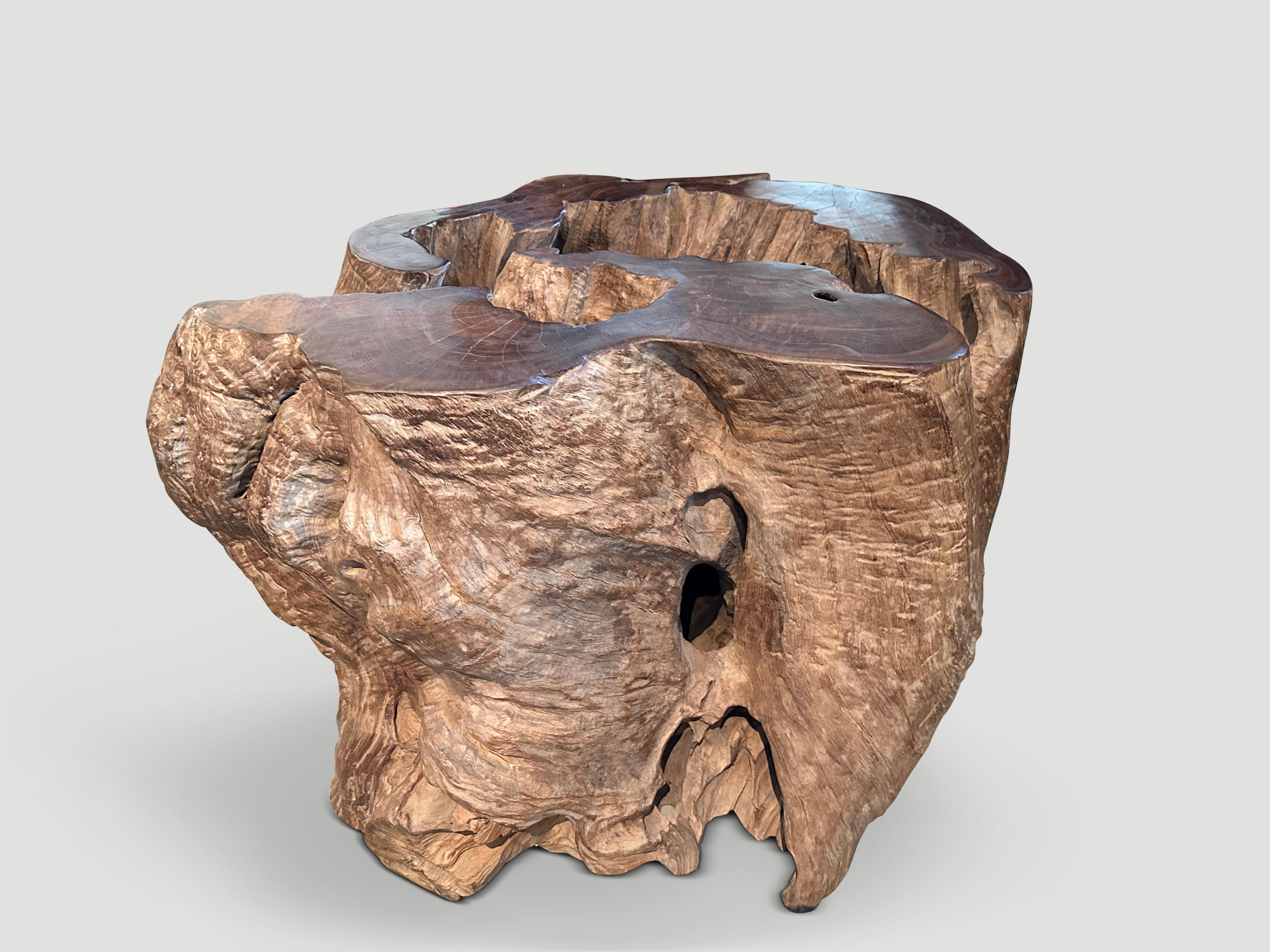 Contemporary Andrianna Shamaris Organic Teak Wood Coffee Table or Pedestal For Sale