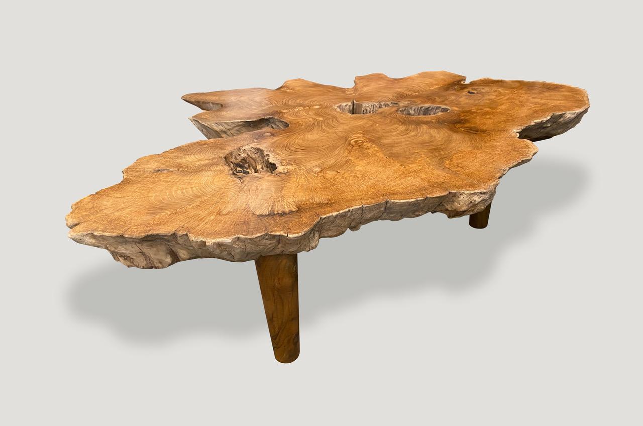 Impressive four inch thick reclaimed teak wood coffee table with a polished top and stunning natural wood grain. The sides are left natural in contrast. Floating on midcentury style legs. Organic with a twist.

Andrianna Shamaris. The Leader In