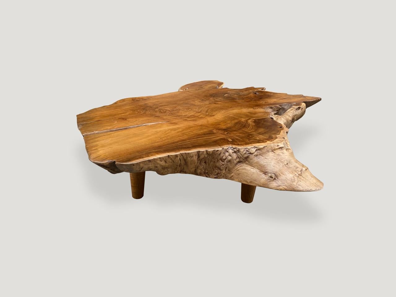 Impressive five inch reclaimed teak wood coffee table with a natural oil polished top. The sides are left natural in contrast. Floating on mid century style cone legs. Organic with a twist. 

Own an Andrianna Shamaris original.

Andrianna