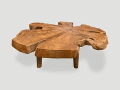 Andrianna Shamaris Organic Teak Wood Root Coffee Table