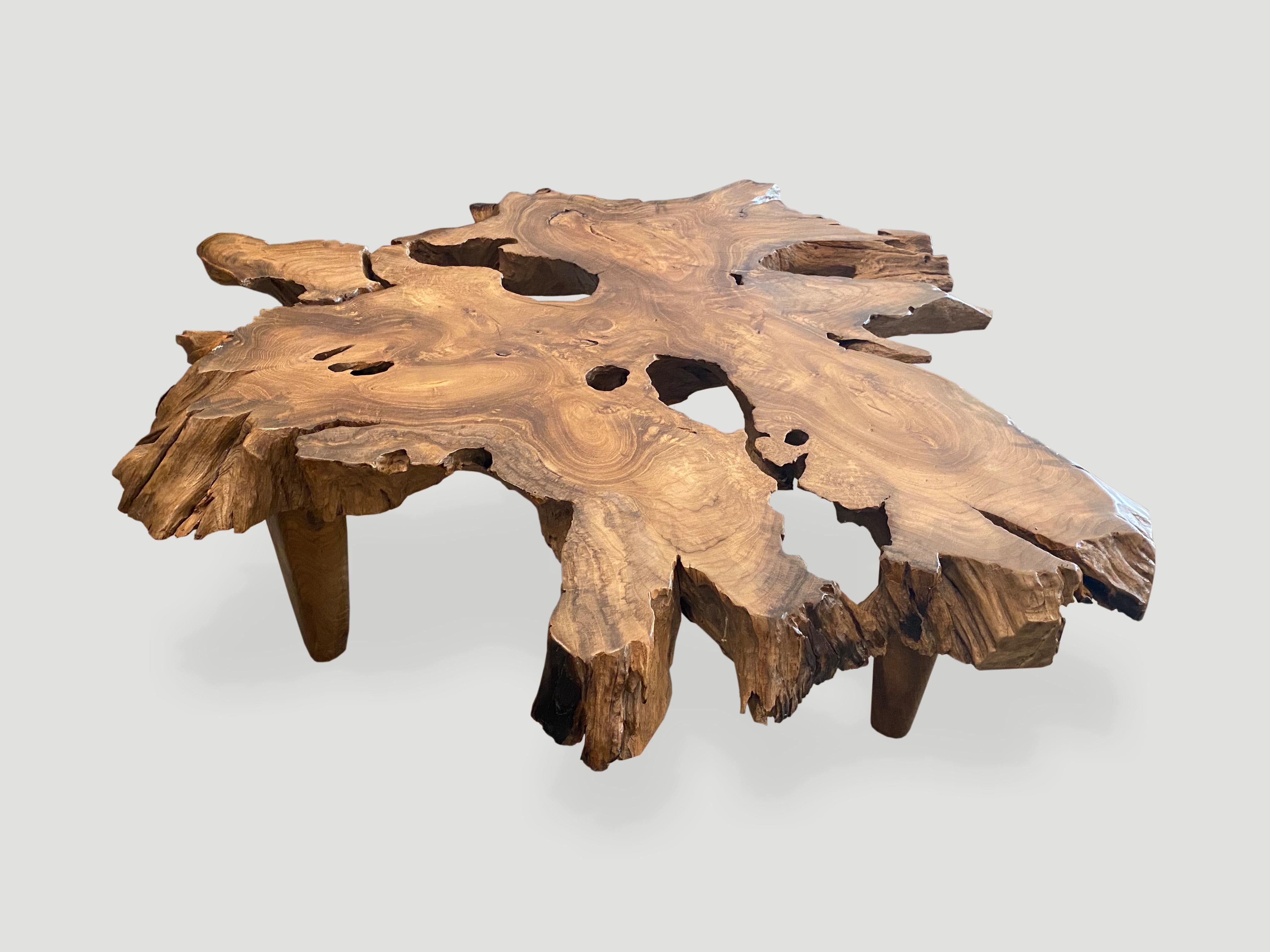 Organic Modern Andrianna Shamaris Organic Teak Wood Root Coffee Table