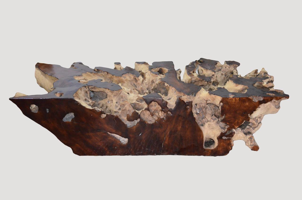 wood root table