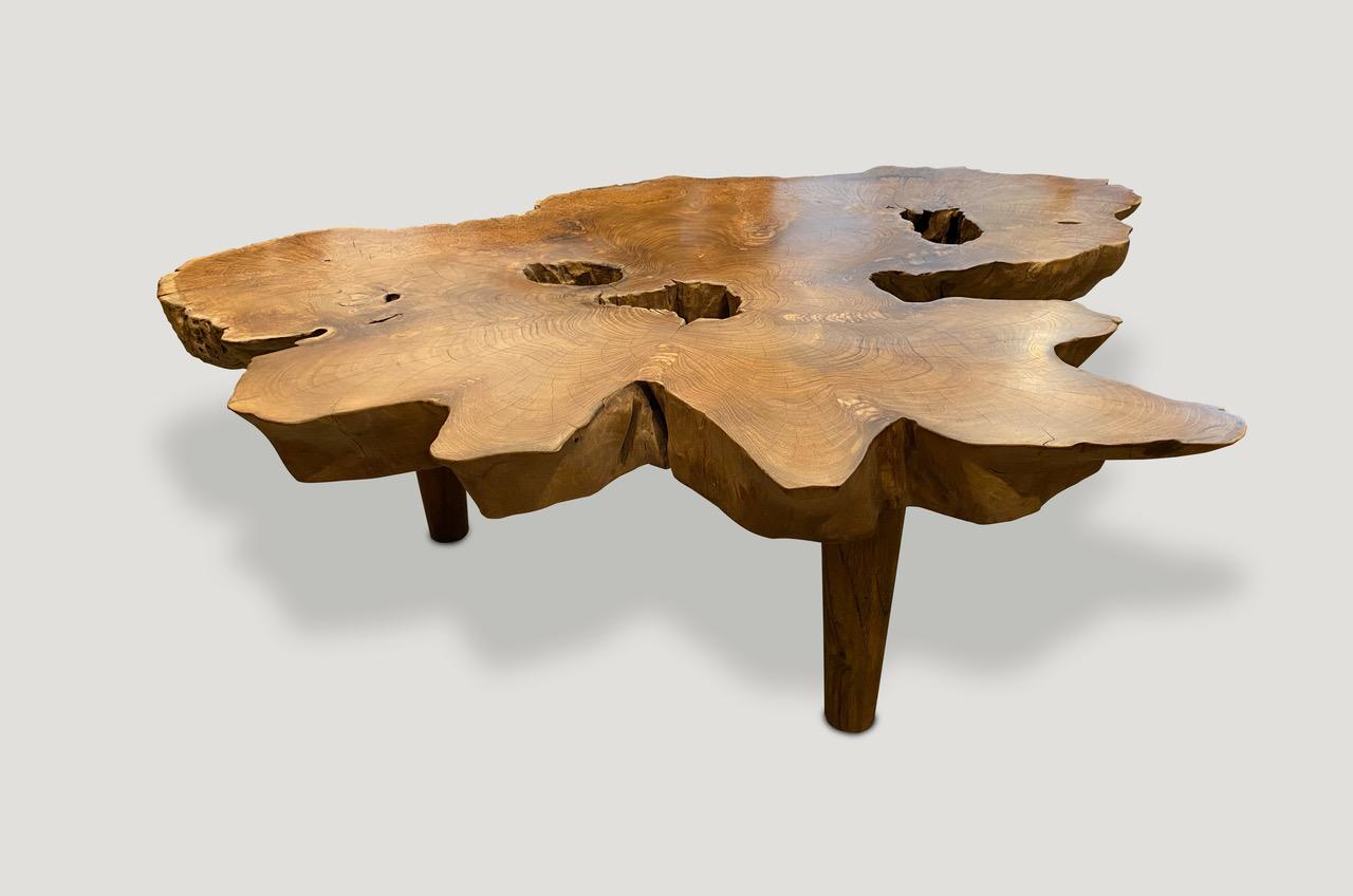 Andrianna Shamaris Organic Teak Wood Root Coffee Table In Excellent Condition In New York, NY