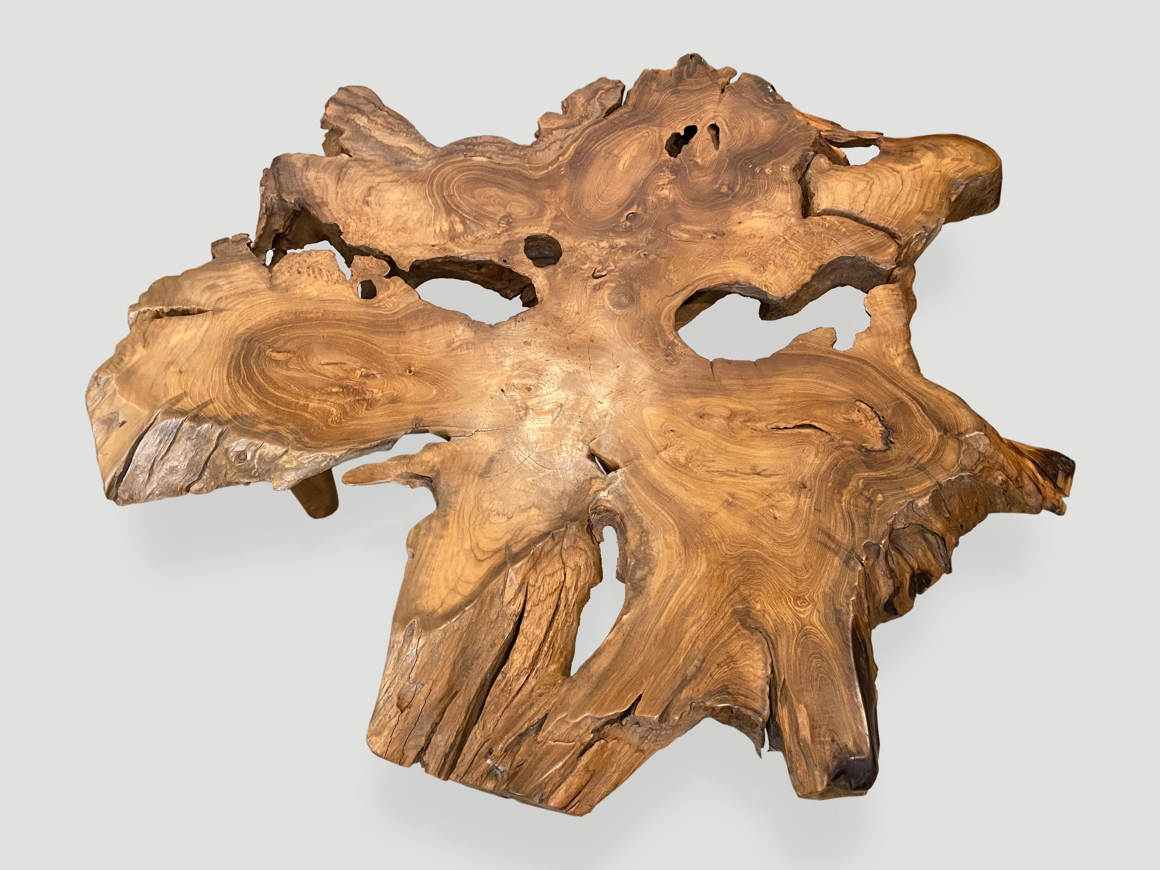 Andrianna Shamaris Organic Teak Wood Root Coffee Table In Excellent Condition In New York, NY