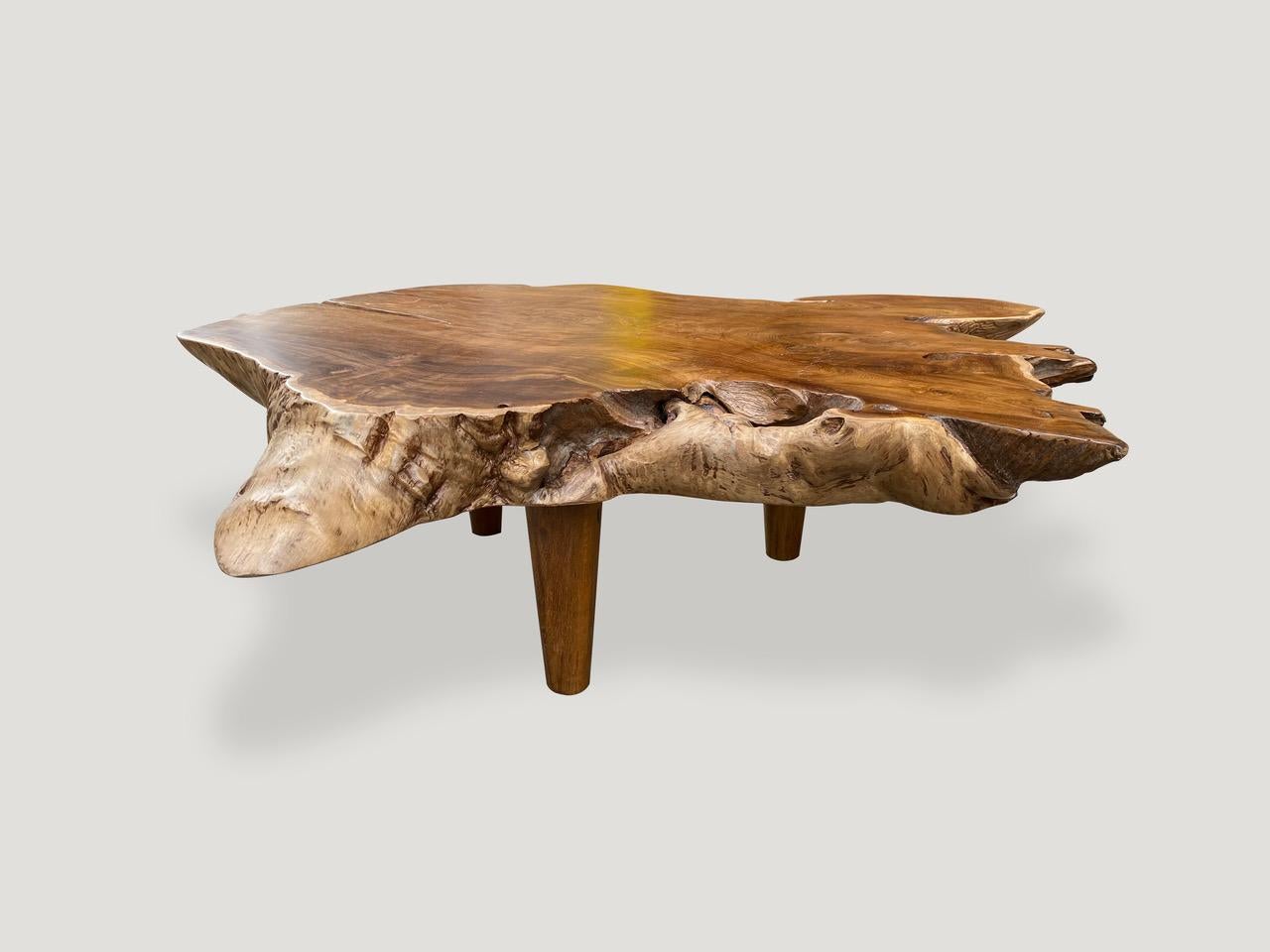 teak root coffee table