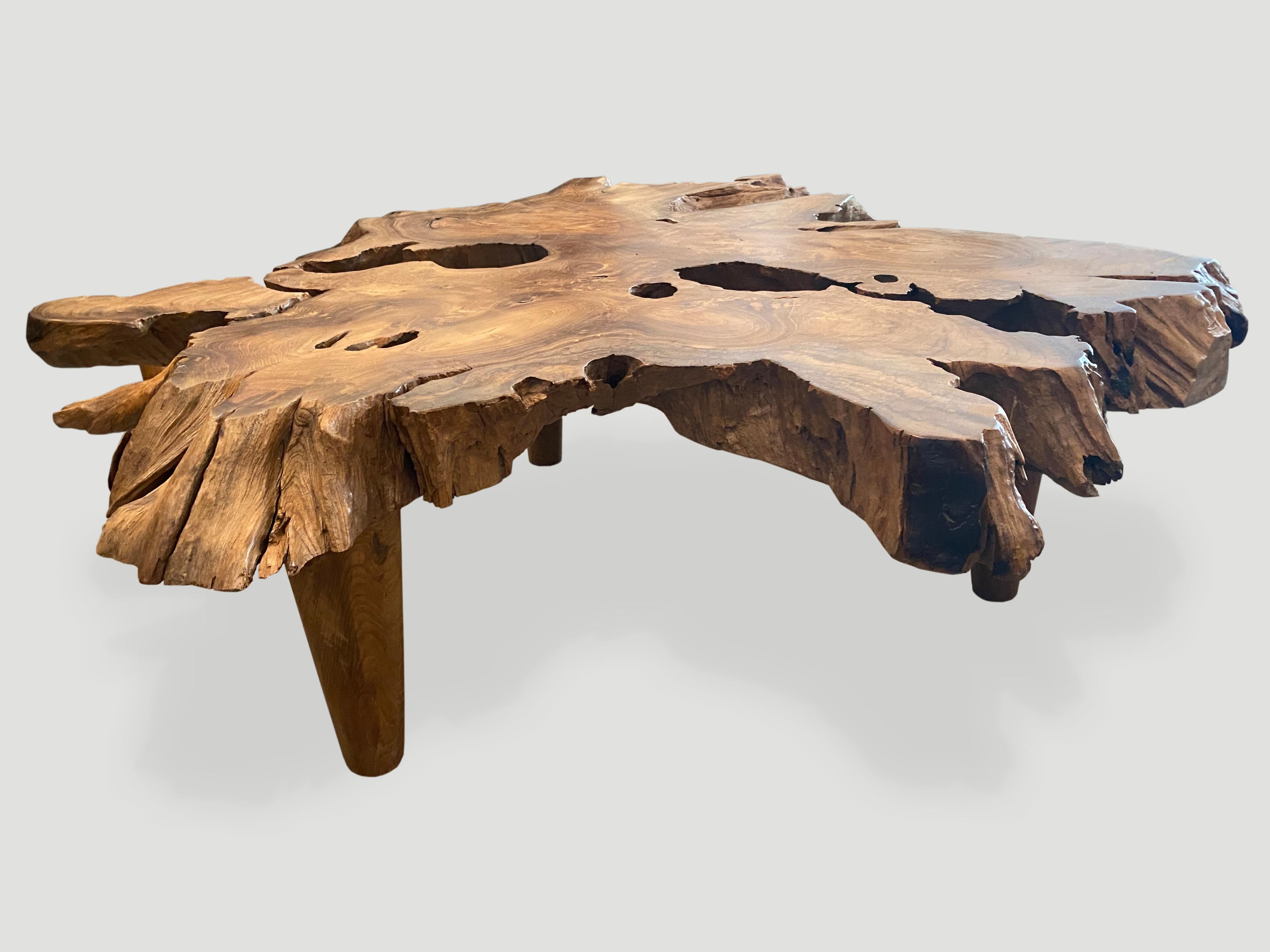 Contemporary Andrianna Shamaris Organic Teak Wood Root Coffee Table