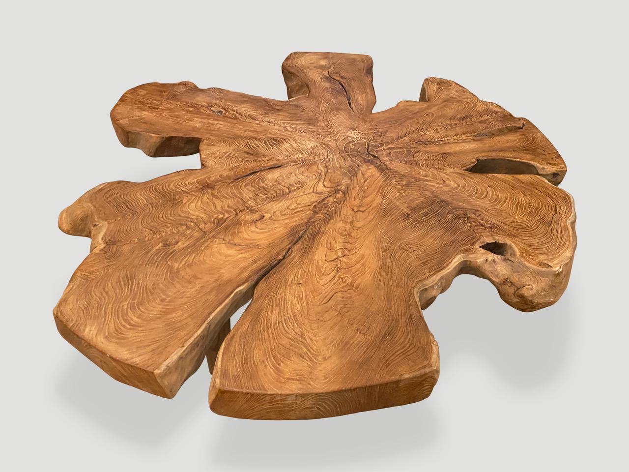 Andrianna Shamaris Organic Teak Wood Root Coffee Table In Excellent Condition For Sale In New York, NY
