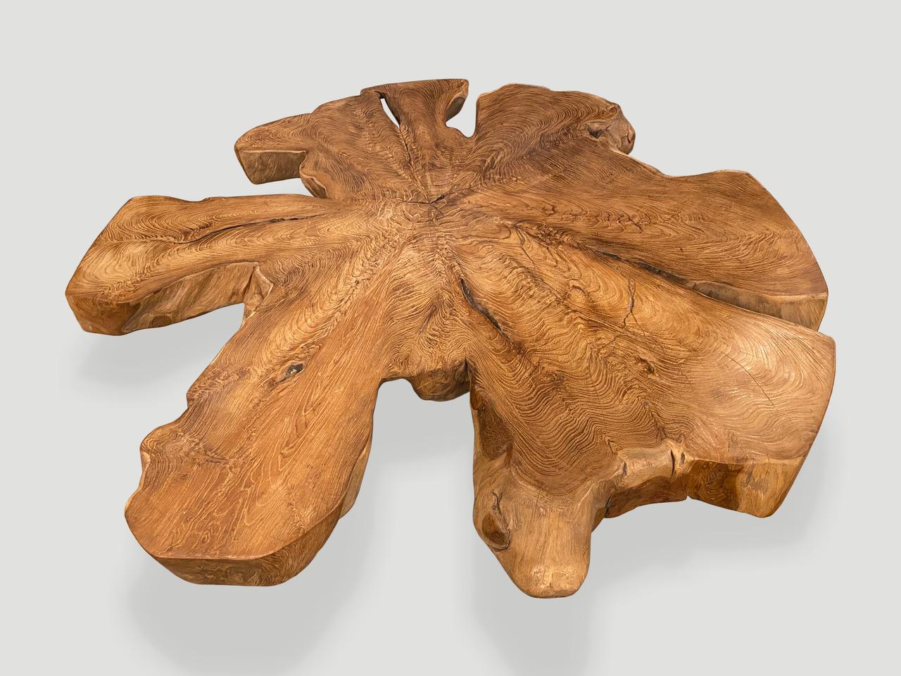 Contemporary Andrianna Shamaris Organic Teak Wood Root Coffee Table For Sale