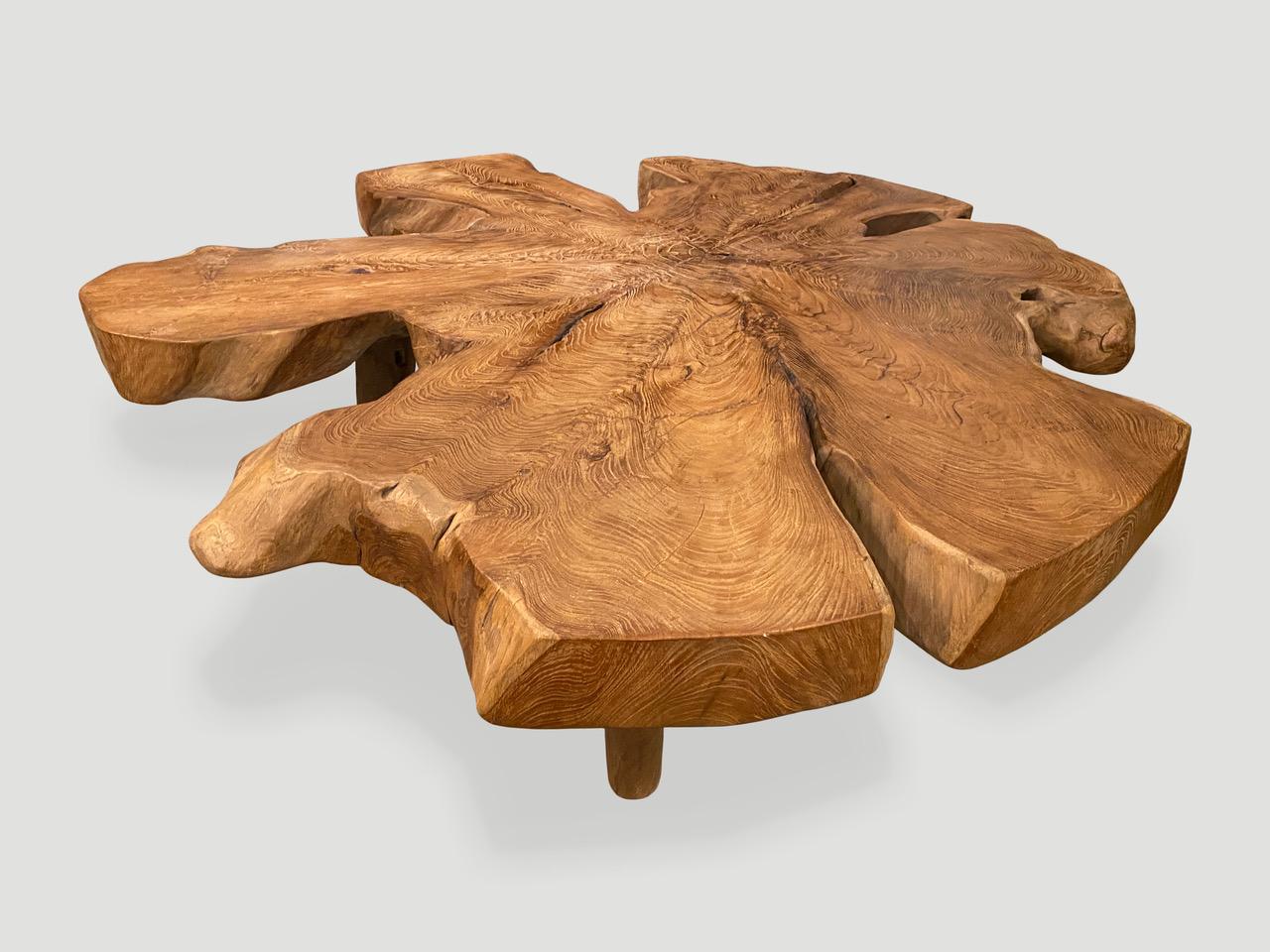 Andrianna Shamaris Organic Teak Wood Root Coffee Table For Sale 1