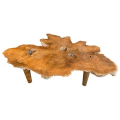 Andrianna Shamaris Organic Teak Wood Root Coffee Table