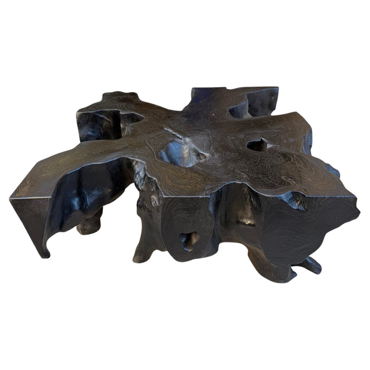 Andrianna Shamaris Organic Teak Wood Root Coffee Table For Sale