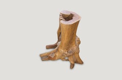 Andrianna Shamaris Organic Teak Wood Root Side Table