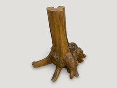 Andrianna Shamaris Organic Teak Wood Root Side Table