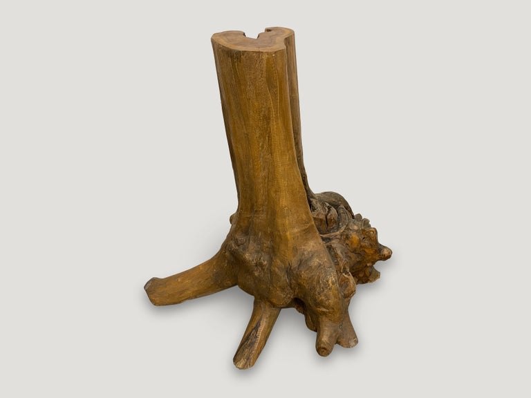 Sculptural reclaimed teak root, sanded and polished. Great with a Lucite or glass top or as a base for a dining table.

This side table was sourced in the spirit of wabi-sabi, a Japanese philosophy that beauty can be found in imperfection and