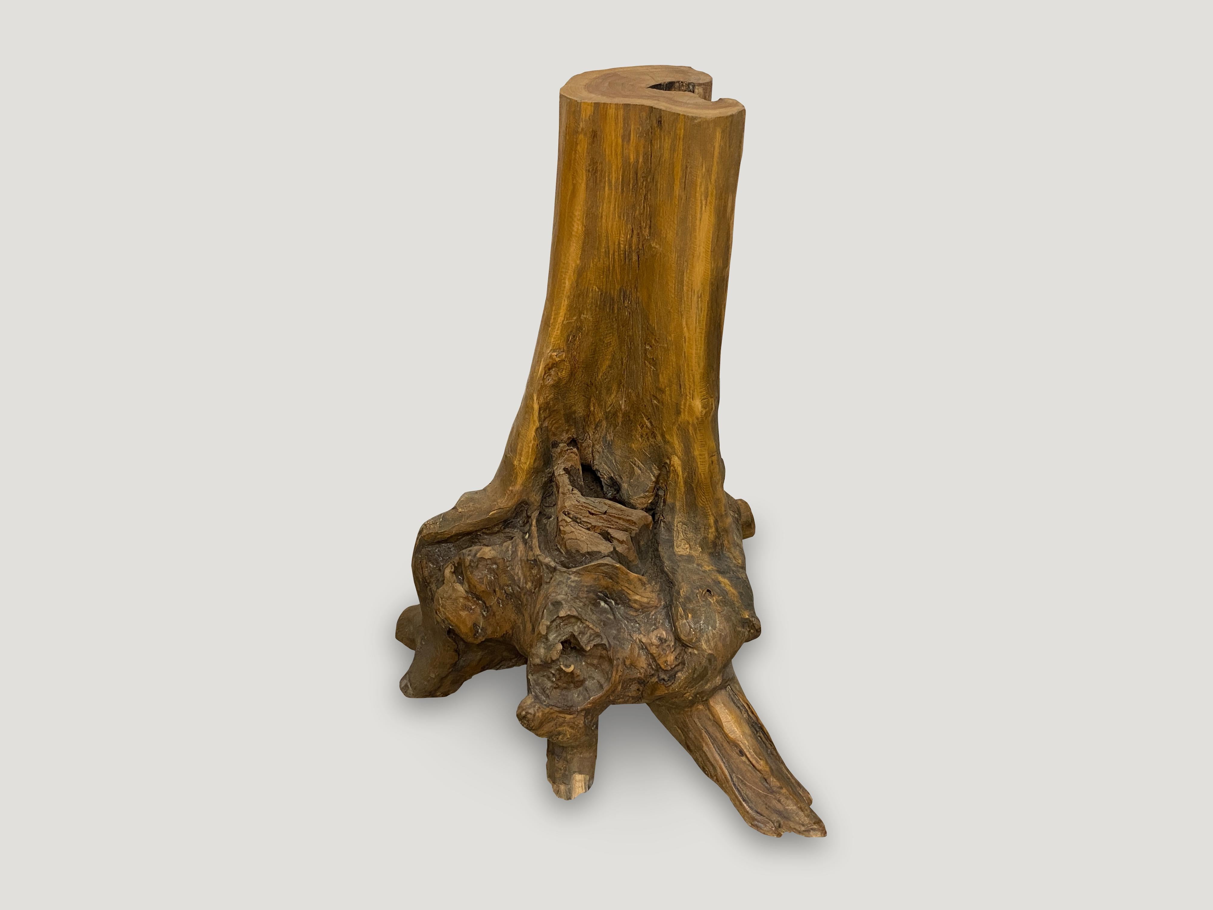 Table d'appoint en bois de teck organique Andrianna Shamaris Excellent état - En vente à New York, NY