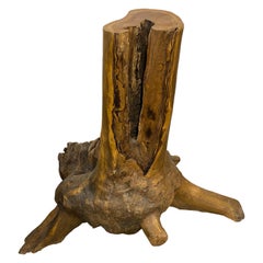 Andrianna Shamaris Organic Teak Wood Root Side Table