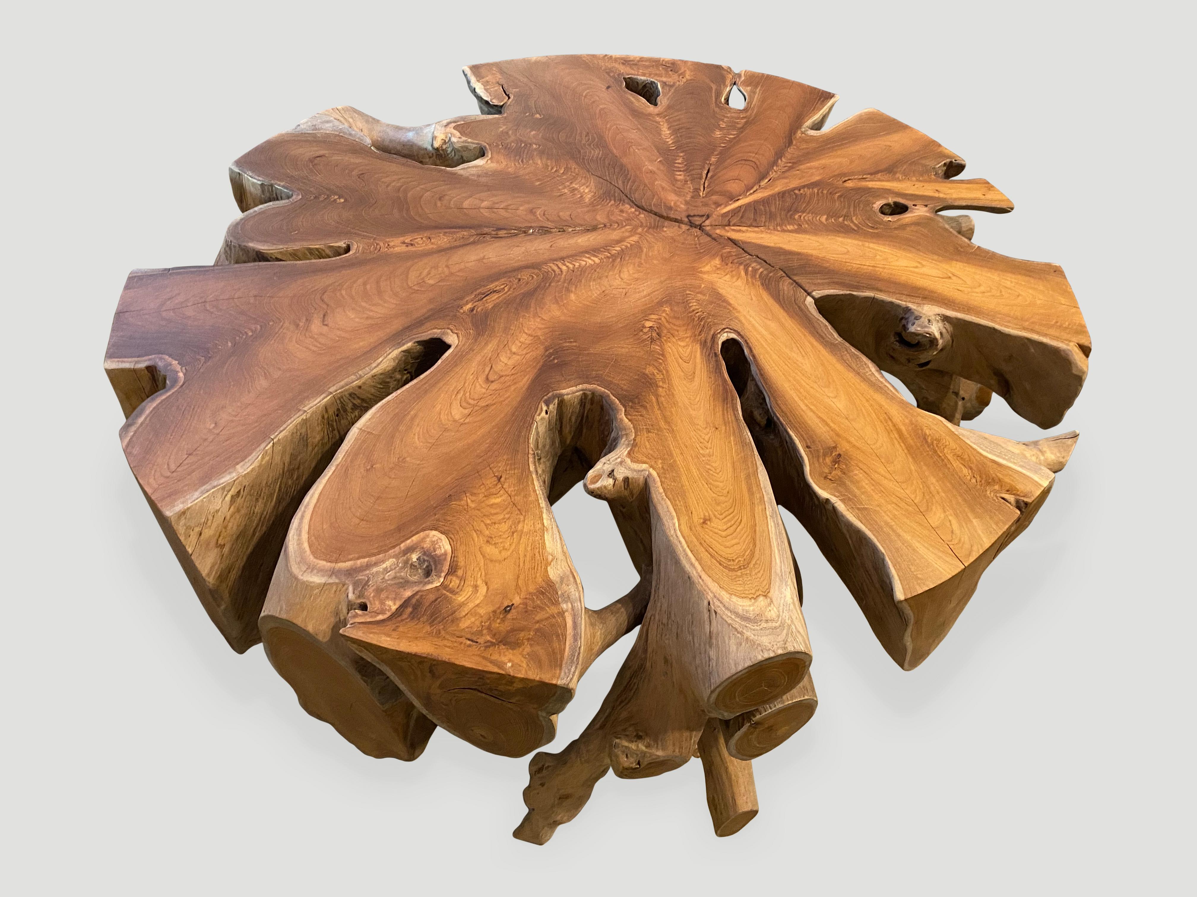 Reclaimed teak root coffee table. Hand carved into this beautiful usable shape whilst respecting the natural organic wood. We polished the aged teak with a natural oil finish expositing the beautiful grain in the wood. Organic is the new modern.
