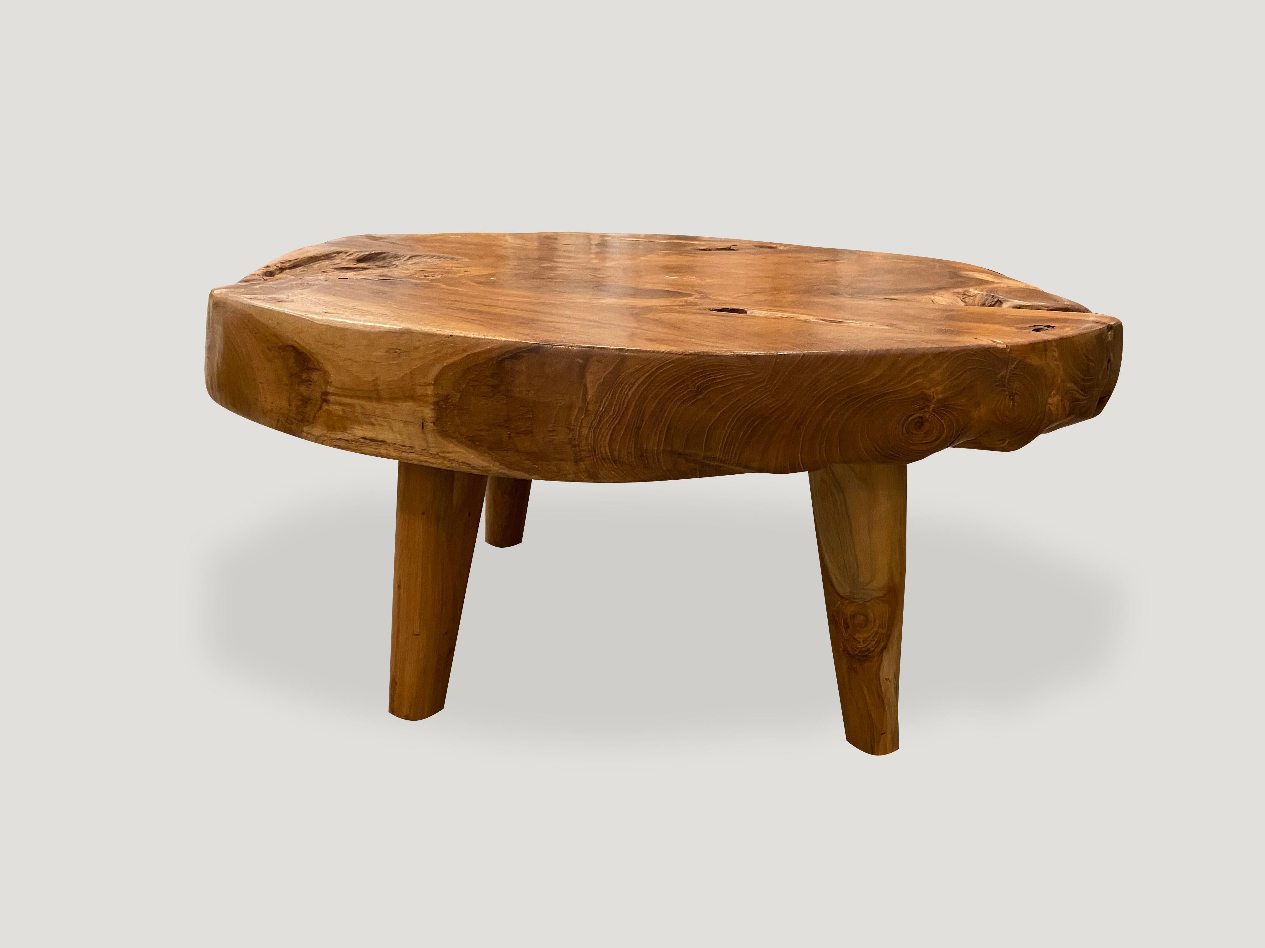 andrianna shamaris coffee table