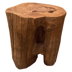 Andrianna Shamaris Organic Teak Wood Side Table or Pedestal