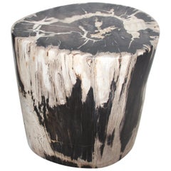 Antique Andrianna Shamaris Oval Contrasting Toned High Quality Petrified Wood Side Table