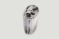 Andrianna Shamaris Oval Contrasting Toned Petrified Wood Side Table