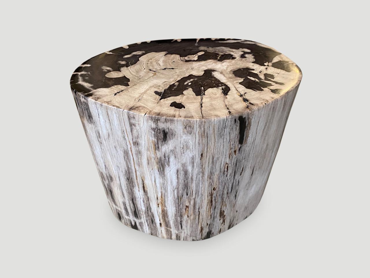 Stunning bold tones on this impressive high quality petrified wood side table. It’s fascinating how Mother Nature produces these stunning 40 million year old petrified teak logs with such contrasting colors with natural patterns throughout. Modern
