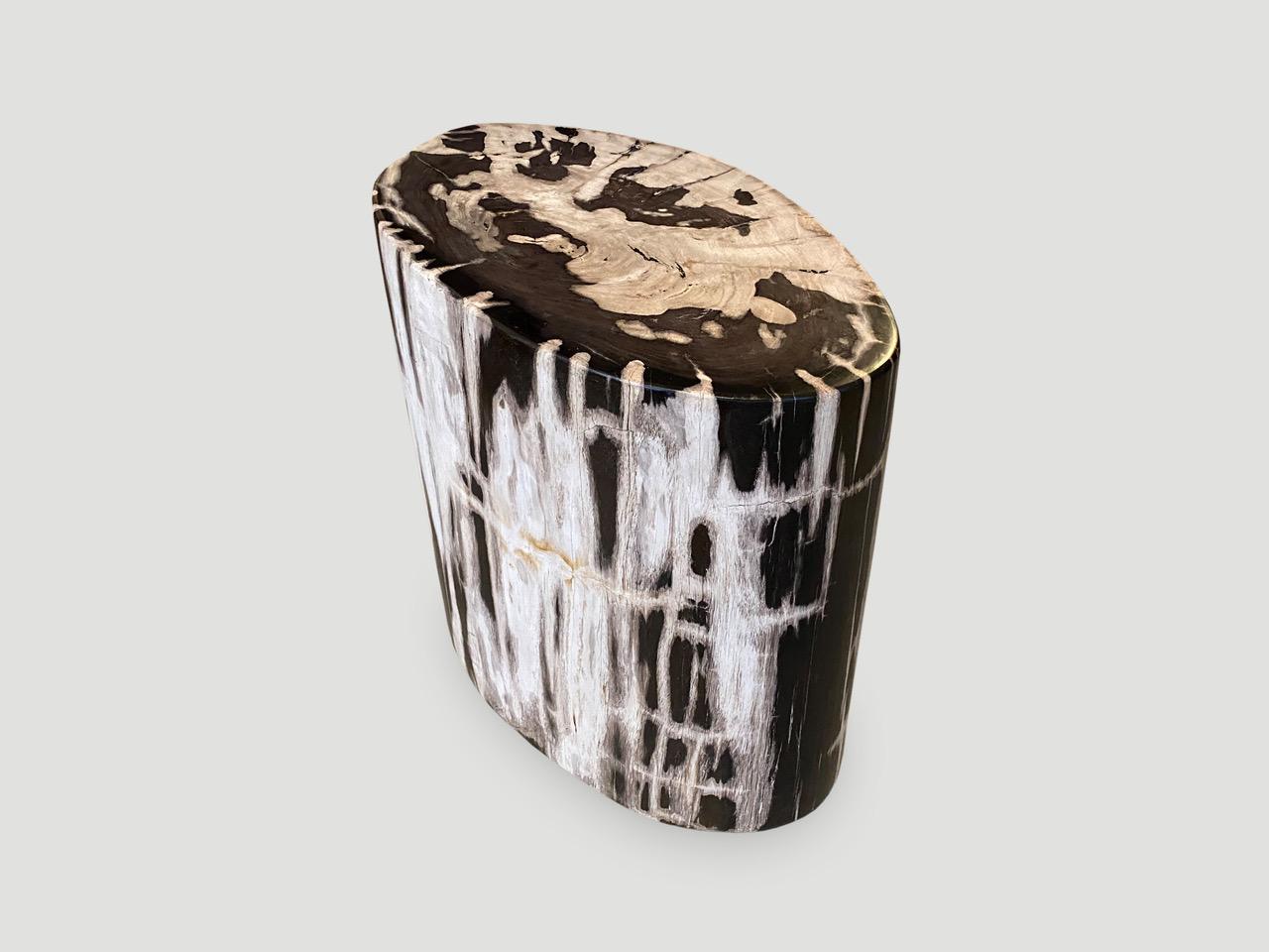 Organic Modern Andrianna Shamaris Oval Contrasting Toned Petrified Wood Side Table