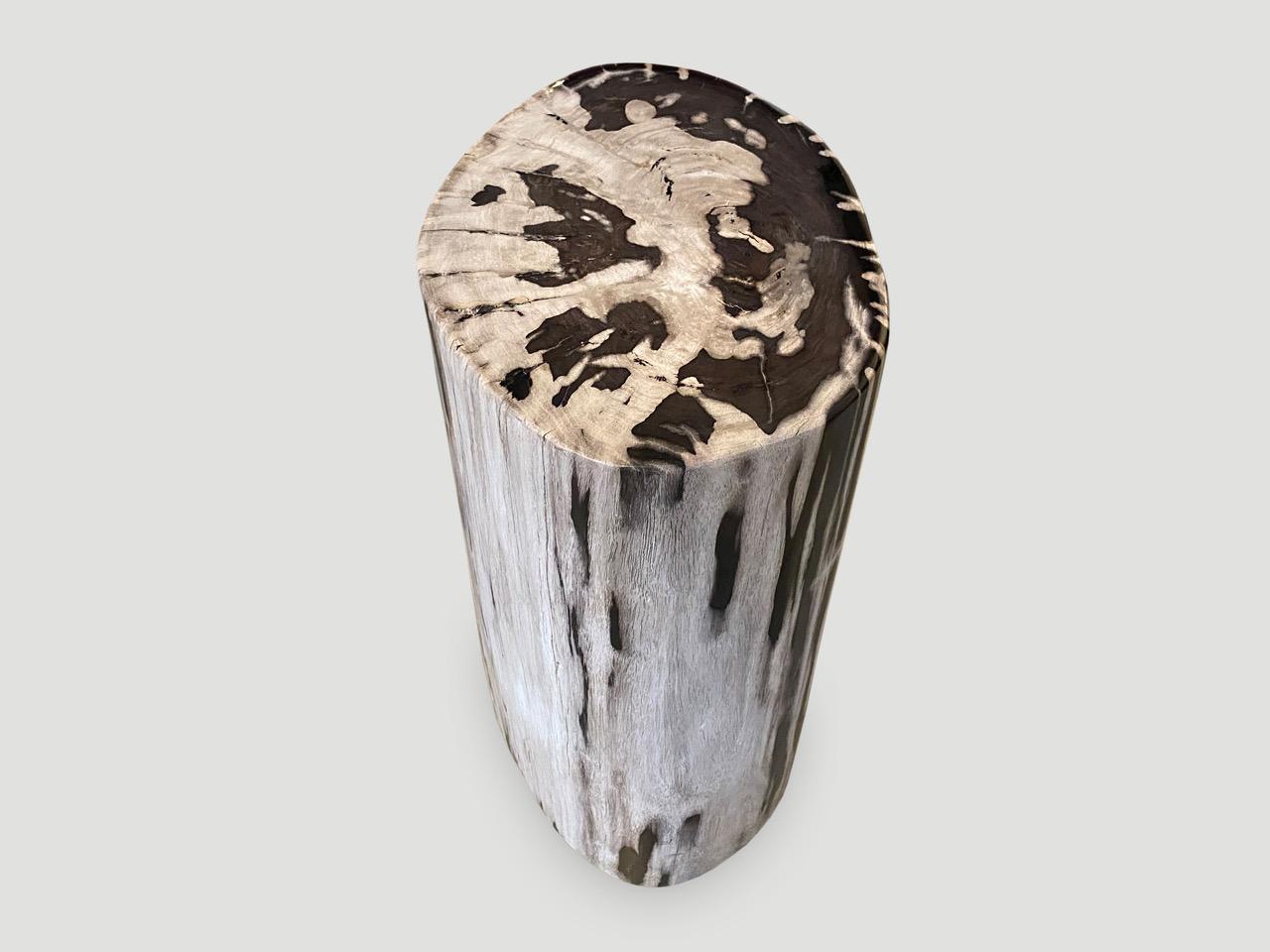 Andrianna Shamaris Oval Contrasting Toned Petrified Wood Side Table In Excellent Condition In New York, NY