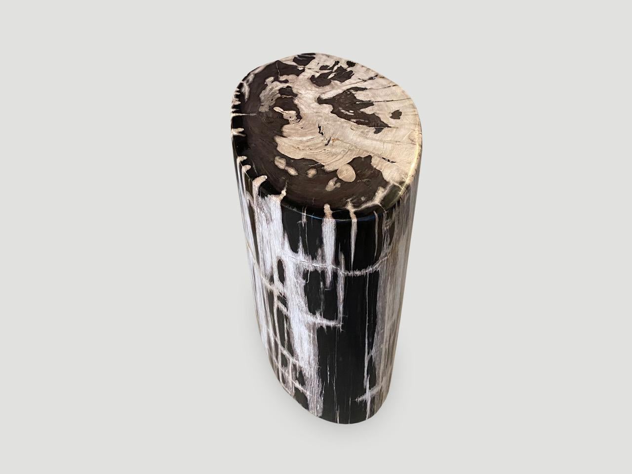 Contemporary Andrianna Shamaris Oval Contrasting Toned Petrified Wood Side Table