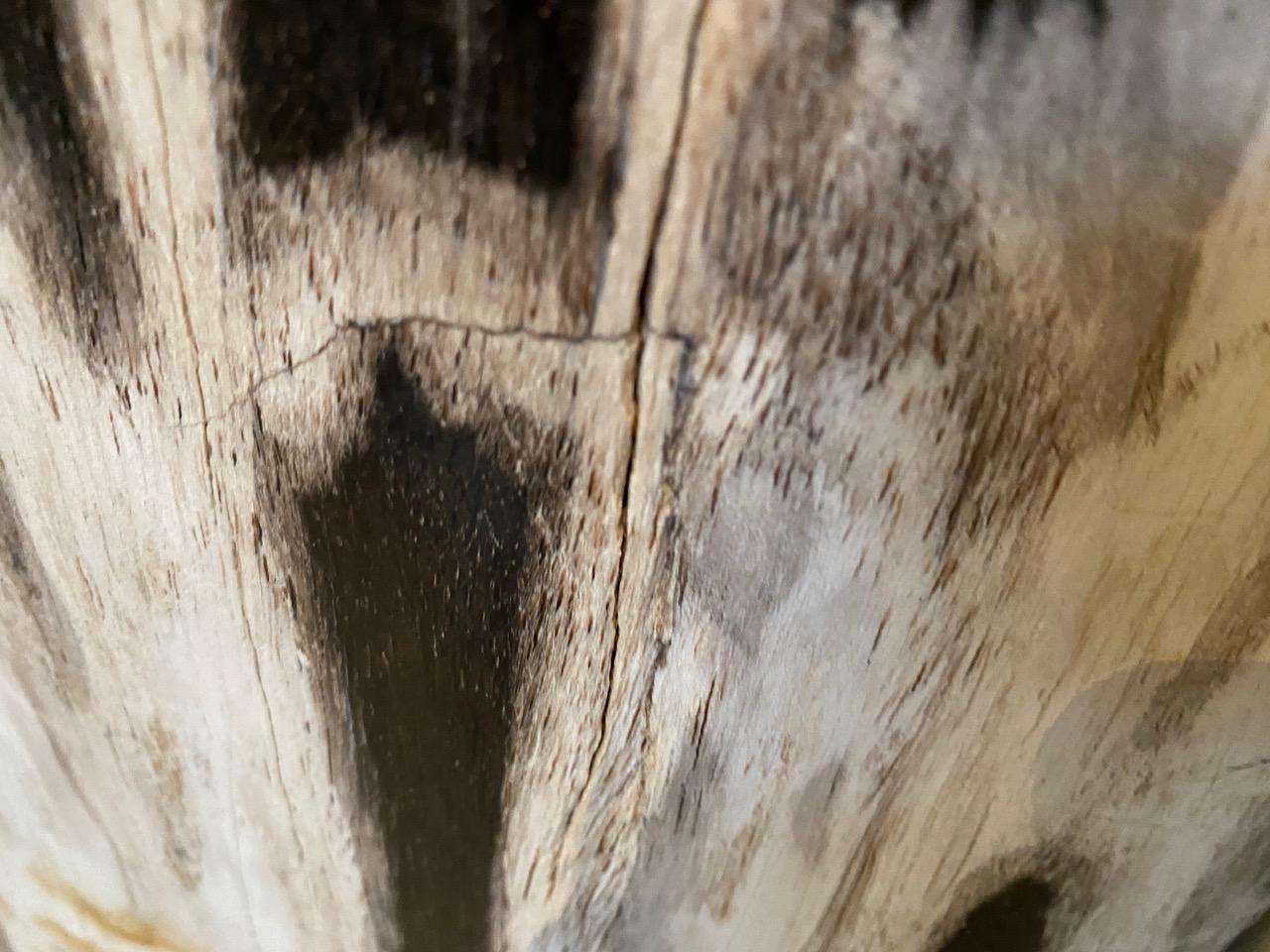 Andrianna Shamaris Oval Contrasting Toned Petrified Wood Side Table 2